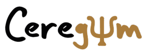 Psicólogo en Huelva, Terapia Cognitivo-Conductual Huelva, Entrenamiento Mental, Gestión de ansiedad, Coach emocional.